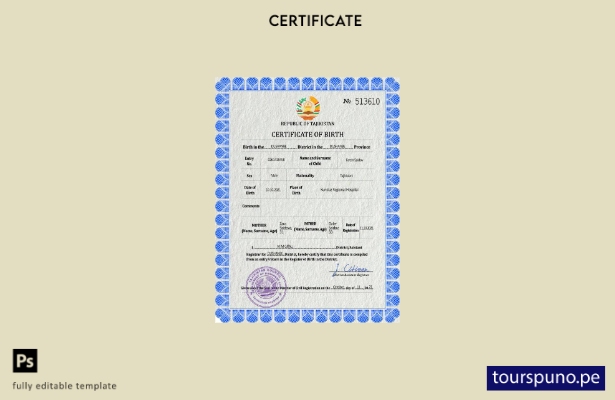 listo para imprimir plantilla PSD de certificado de nacimiento de registro ci 56